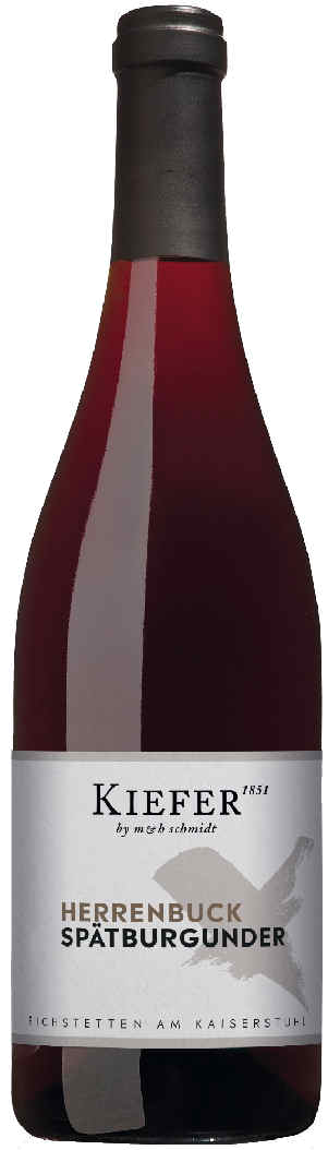 Kiefer Spätburgunder Herrenbuck trocken