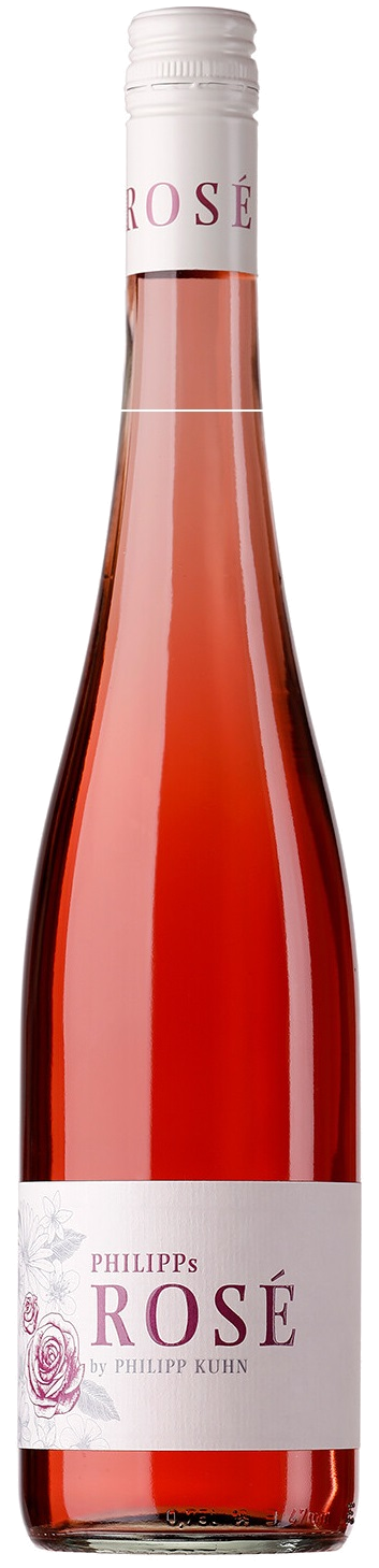 Philipp Kuhn Philipps Rose