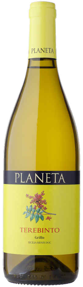 Planeta Terebinto Grillo