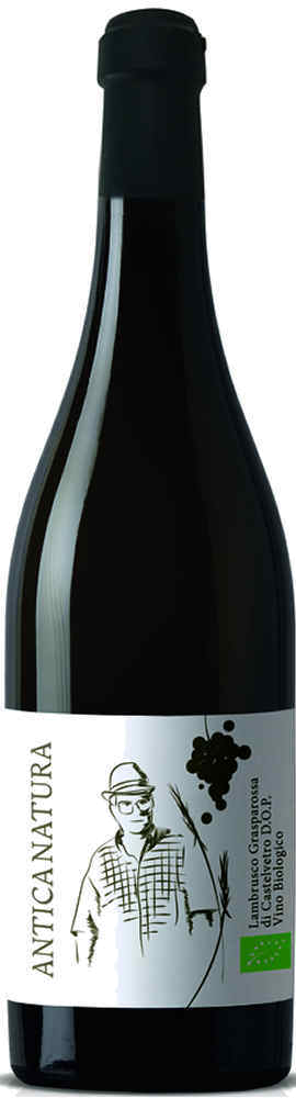 Zanasi Antica Natura Lambrusco Bio Dry