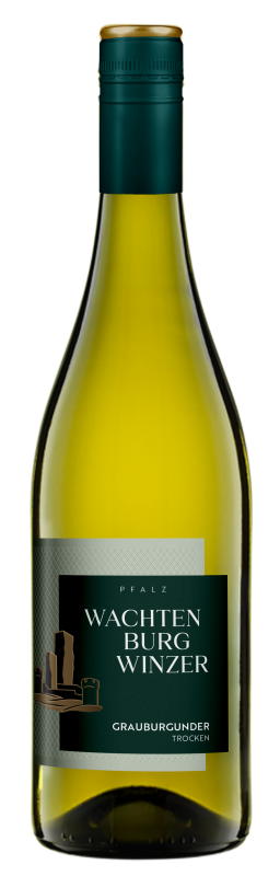 Wachtenburg Winzer Grauburgunder Burg trocken, Weißwein, helle Flasche mit Etikett der Pfälzer Winzergenossenschaft