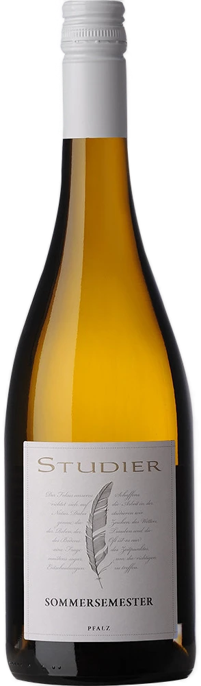 Study summer semester Cuvée off-dry