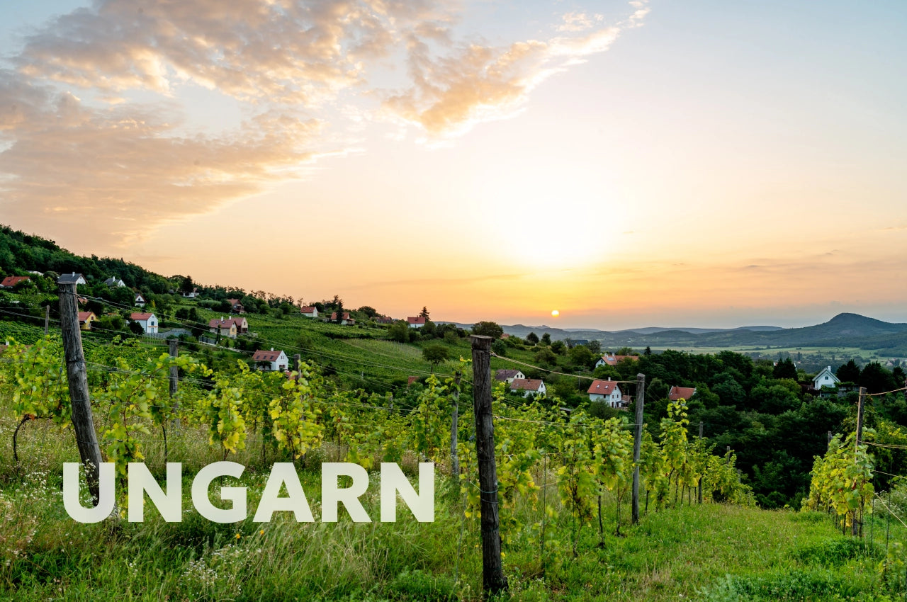 Ungarn