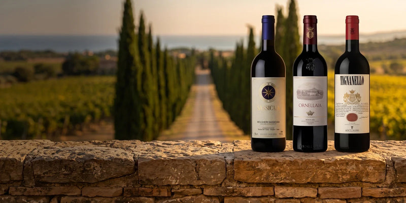 Sassicaia, Ornellaia und Tignanello auf einer Steinmauer vor der Zypressenallee von Bolgheri