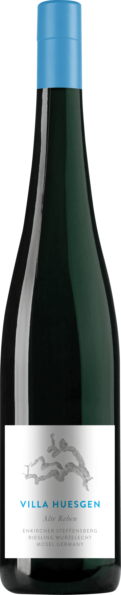 Enkircher Steffensberg Riesling Alte Reben wurzelecht