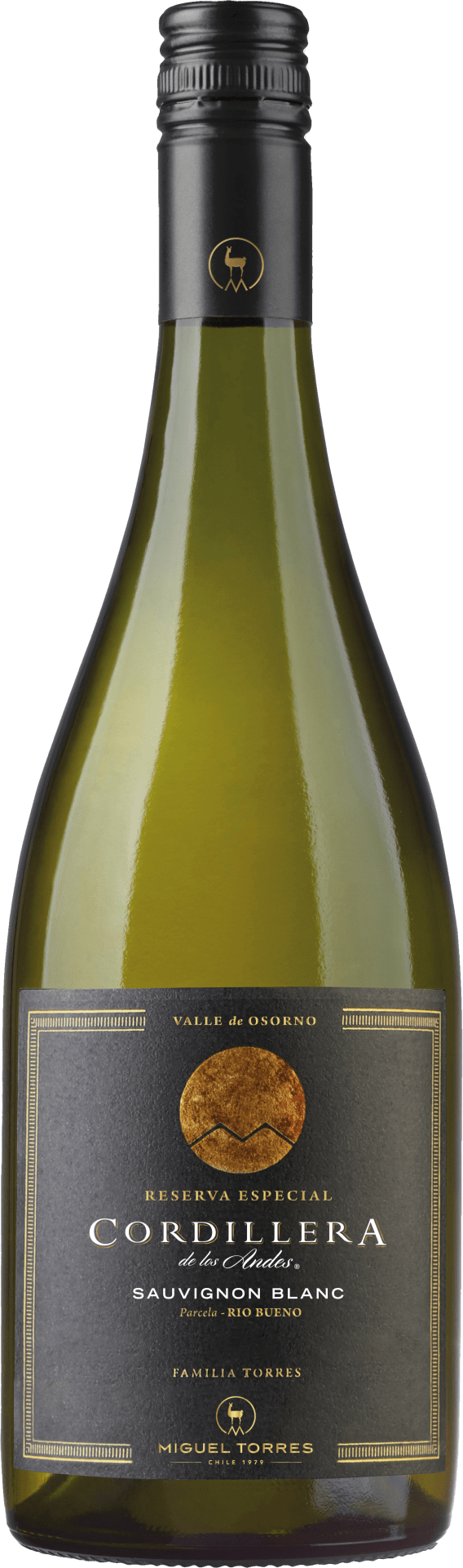 Cordillera Sauvignon Blanc Elqui Valley