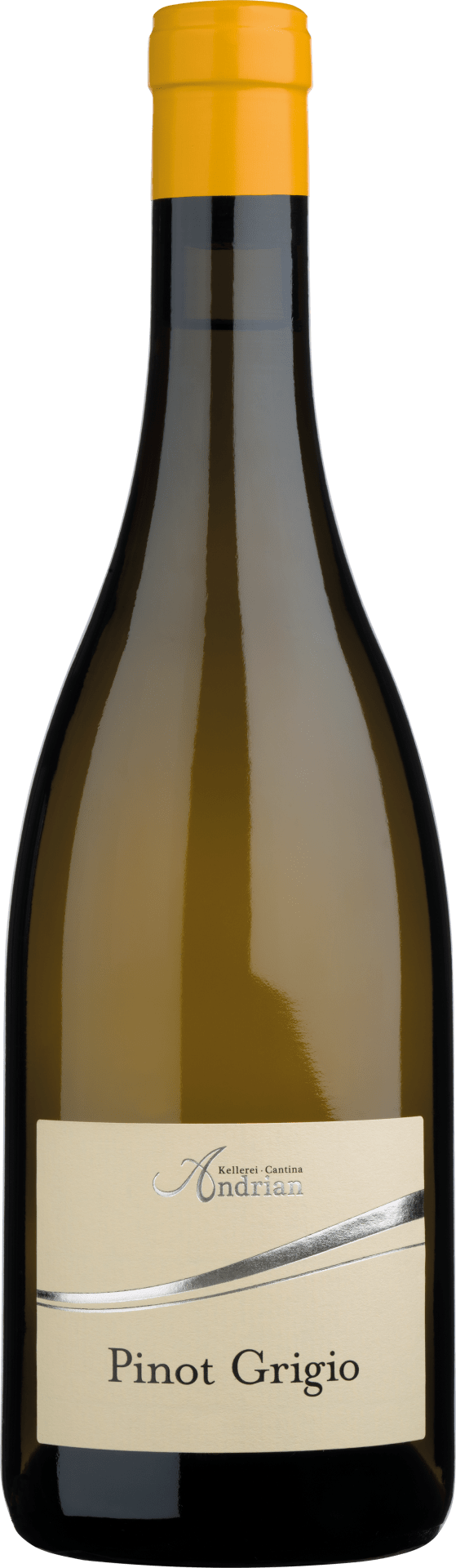 Pinot Grigio DOC