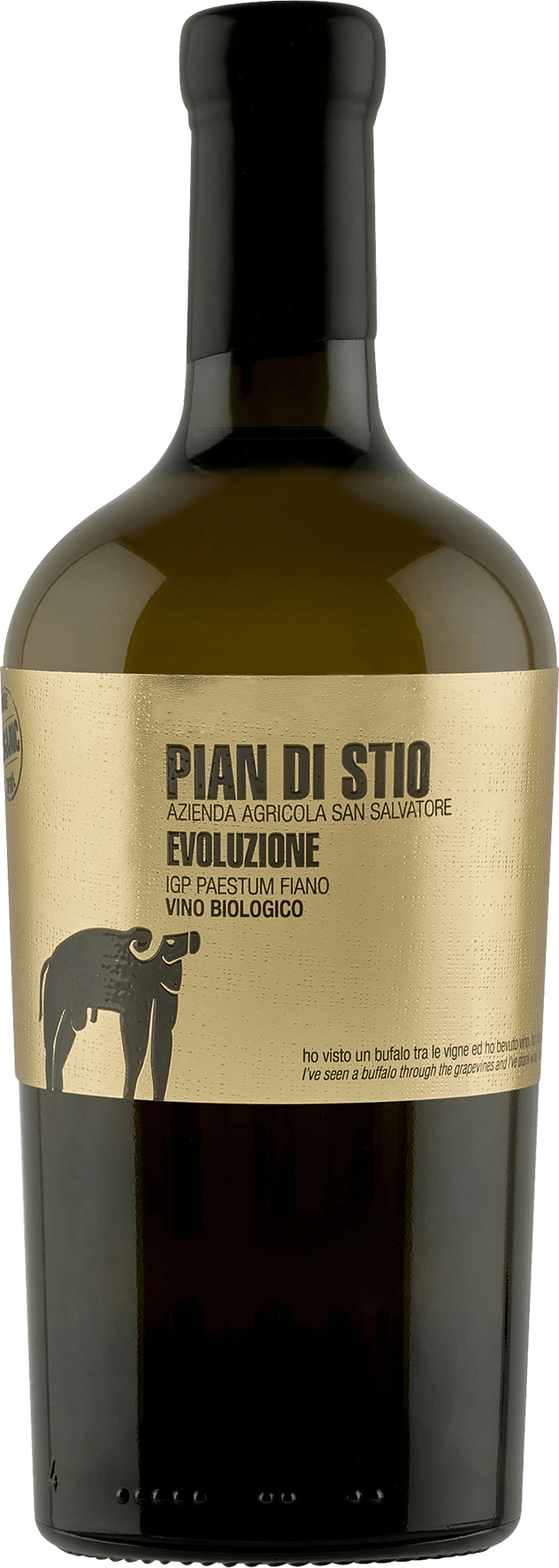 Pian di Stio Evoluzione Fiano