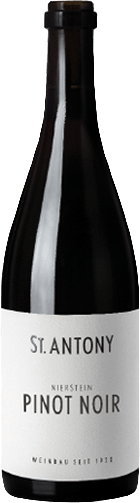 Nierstein Pinot Noir aus Ersten Lagen