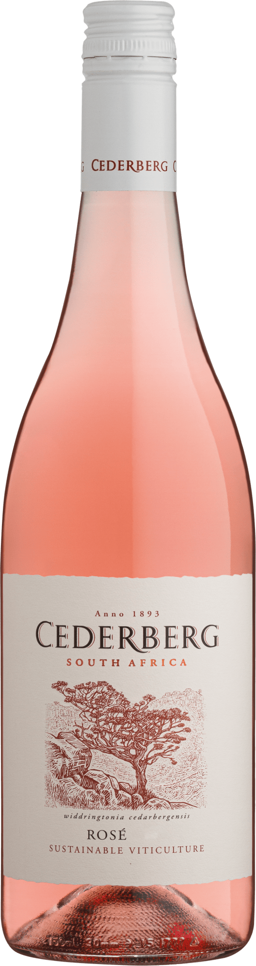 Sustainable Rosé