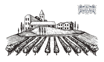 Weingut Philipp Kuhn