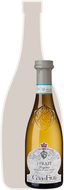Cà dei Frati I Frati Lugana DOC 0,375L