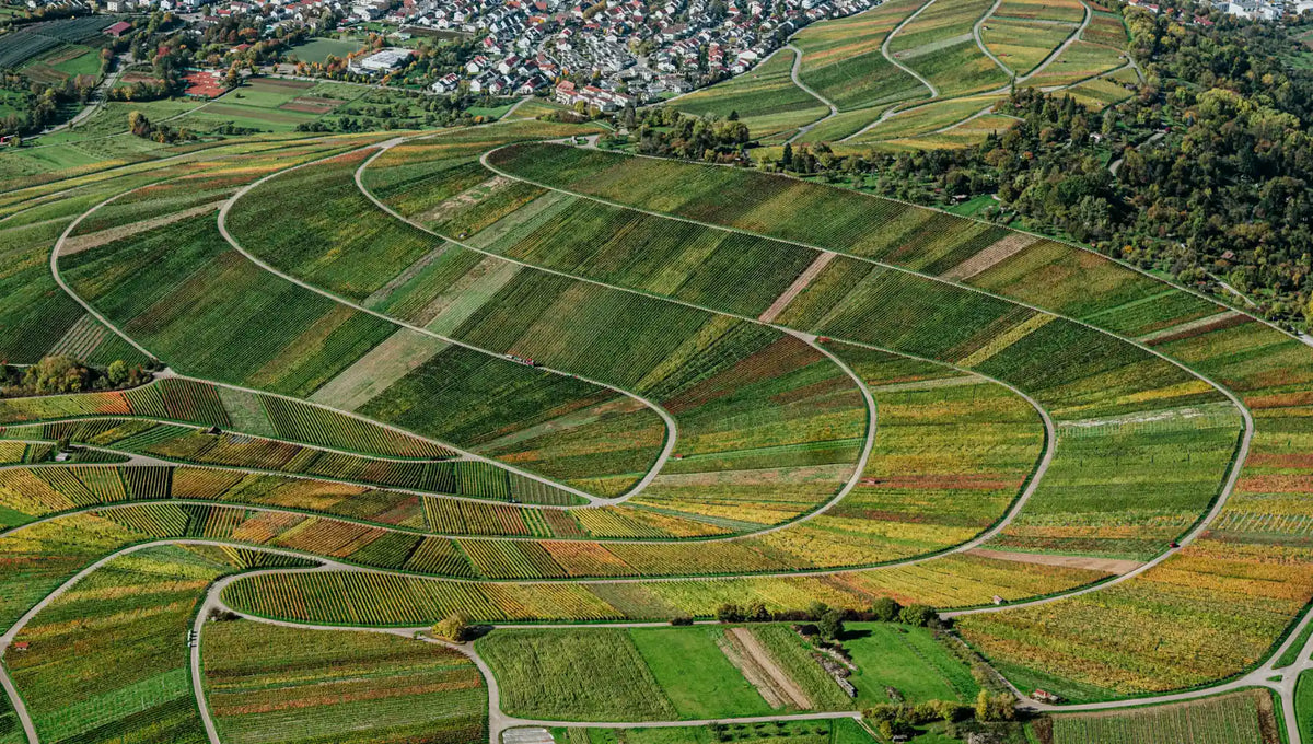 Remstal-Kellerei: Genossenschaft mit 800 Winzerfamilien im Remstal, bekannt für Trollinger und Riesling aus Württemberg.