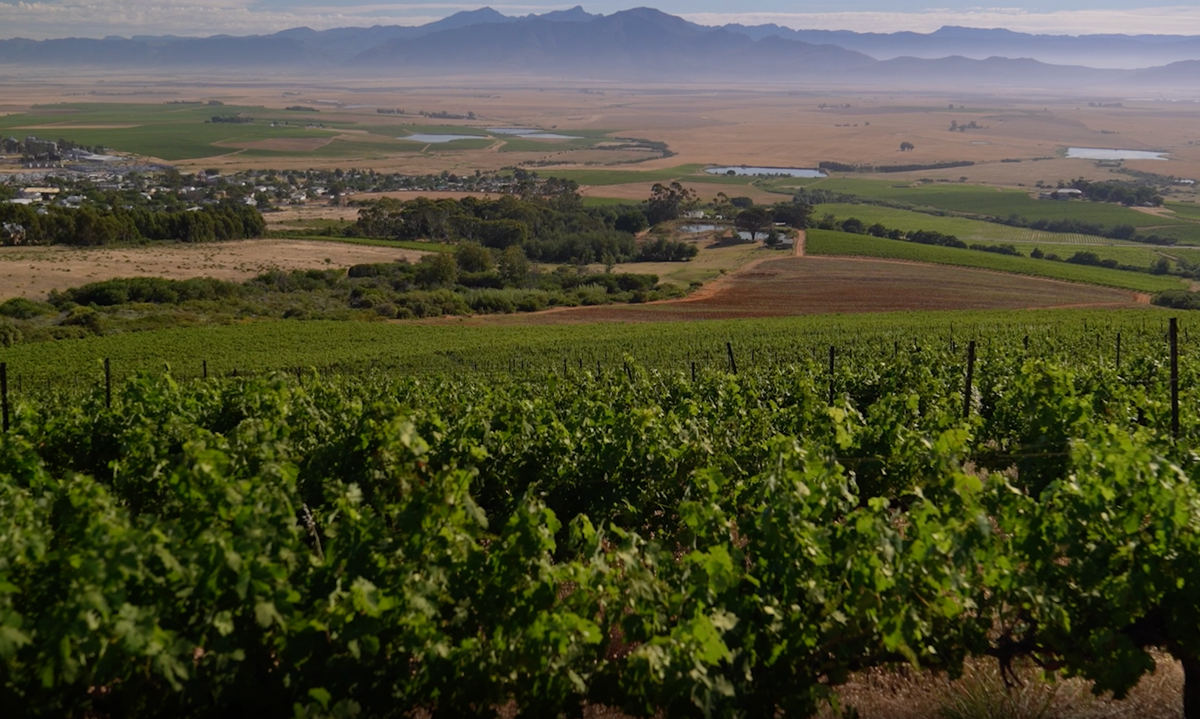 Allesverloren Wine Estate im Swartland, Südafrika: Weingut mit 227 Hektar Rebfläche und langer Familientradition.