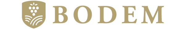 Logo von Axial Vinos, spanisches Weingut aus Aragonien, D.O. Cariñena