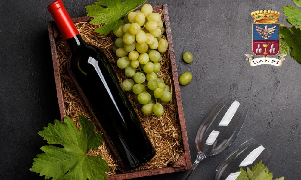 Banfi Weingut aus der Toskana – Hersteller bekannter Weine wie Brunello di Montalcino