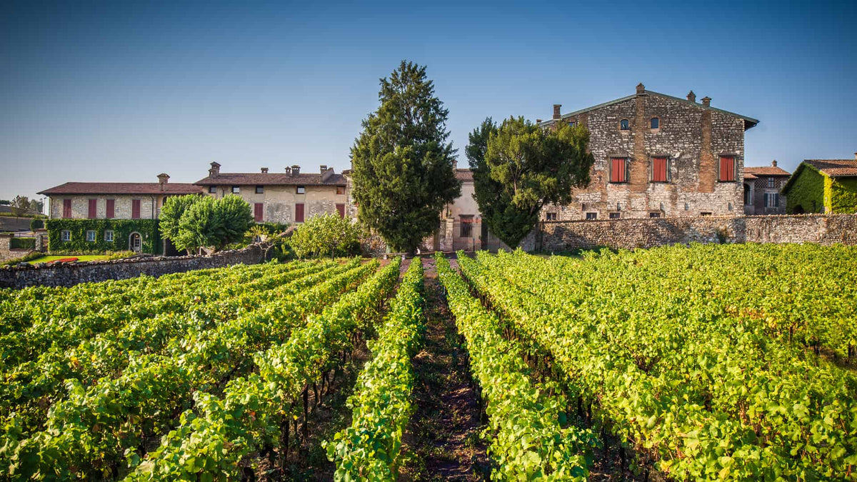 Weinberge von Berlucchi in Franciacorta mit historischem Steingebäude und Gutshaus im Hintergrund