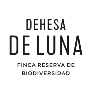 Bodega Dehesa De Luna