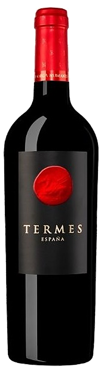 Bodega Numanthia Termes