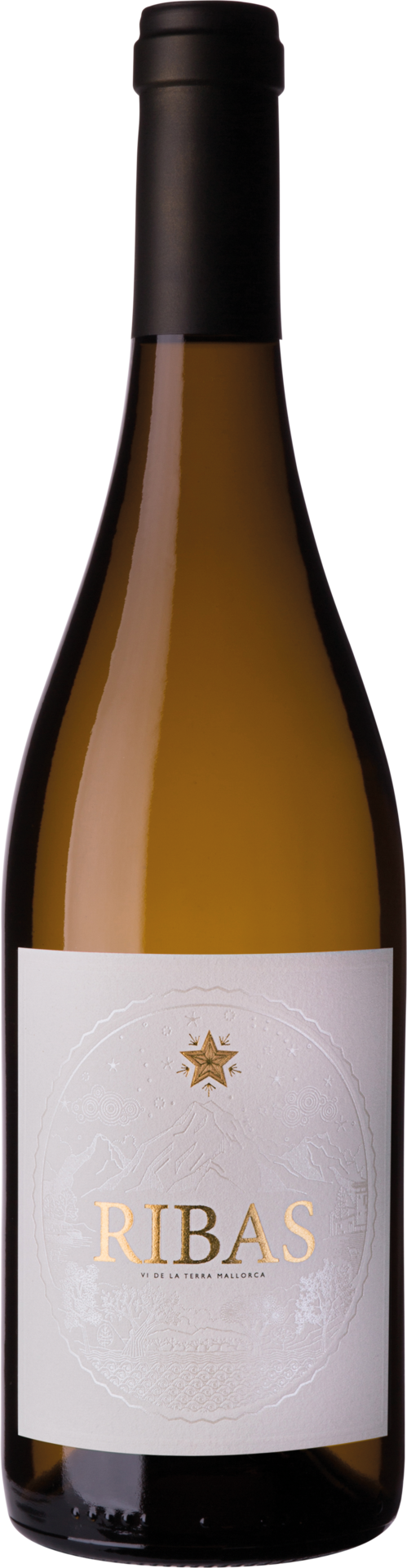 Bodegas Ribas Ribas Blanc