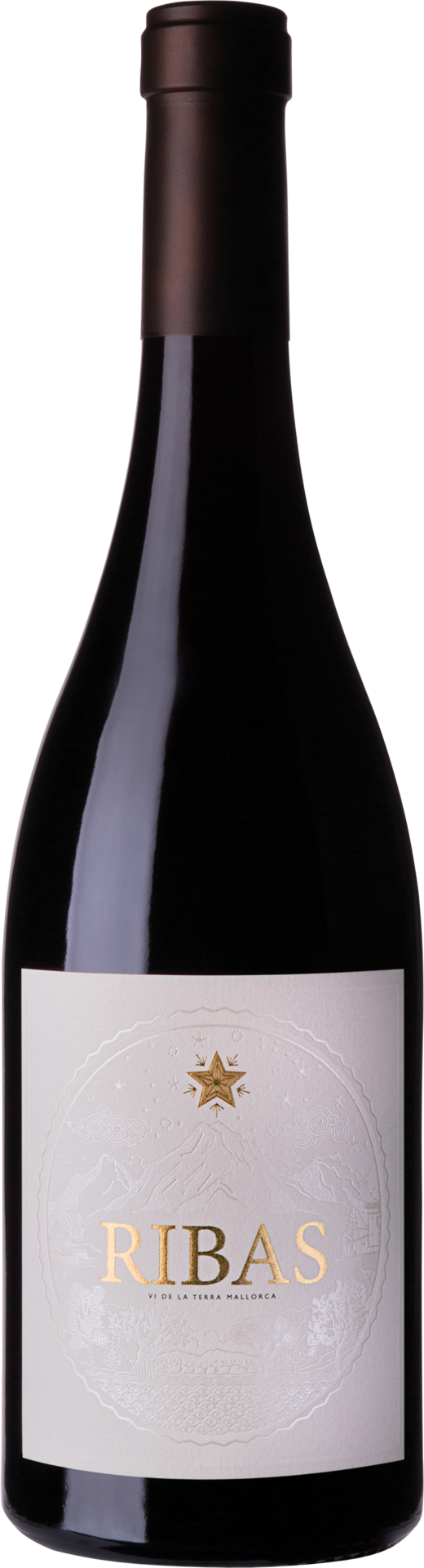 Bodegas Ribas Ribas Negre