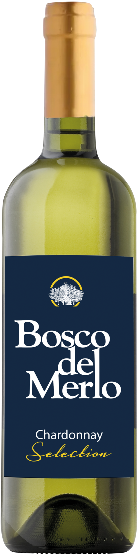 Bosco del Merlo Chardonnay Selection, strohgelbe Weißweinflasche mit goldenen Reflexen vom Weingut Bosco del Merlo