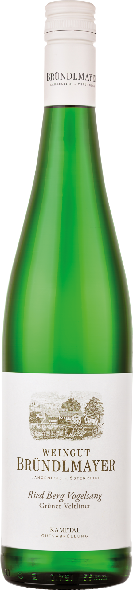 Bründlmayer Grüner Veltliner Berg Vogelsang
