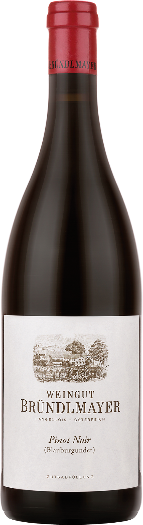 Bründlmayer Pinot Noir