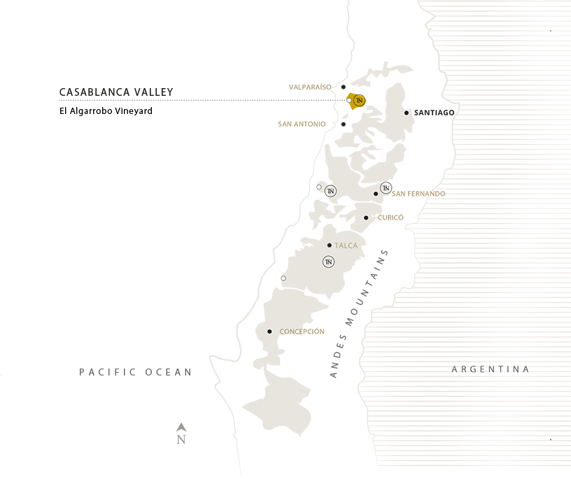 Terra Noble – chilenisches Weingut mit Weinbergen in Casablanca, Colchagua und Maule, Chile.