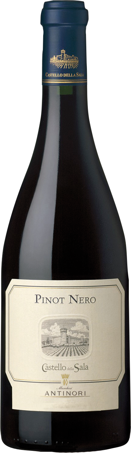 Castello della Sala Pinot Nero Umbria IGT