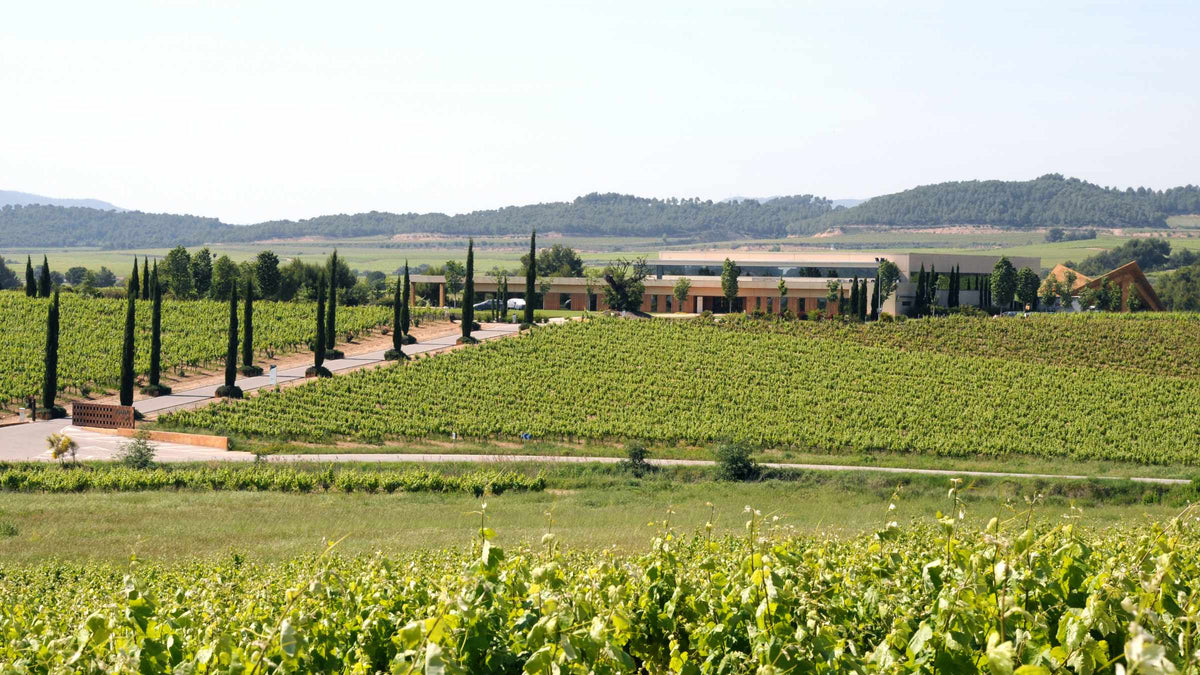 Caves Vilarnau Weinkellerei in Sant Sadurní d'Anoia – Hersteller von hochwertigem Cava, gegründet 2005