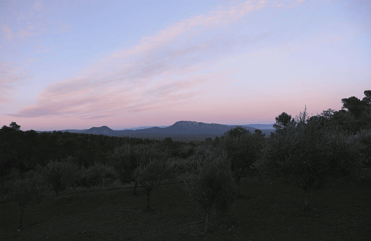 Château Miraval, Weingut in Correns, Provence – Rebflächen und Gebäude des historischen Anwesens