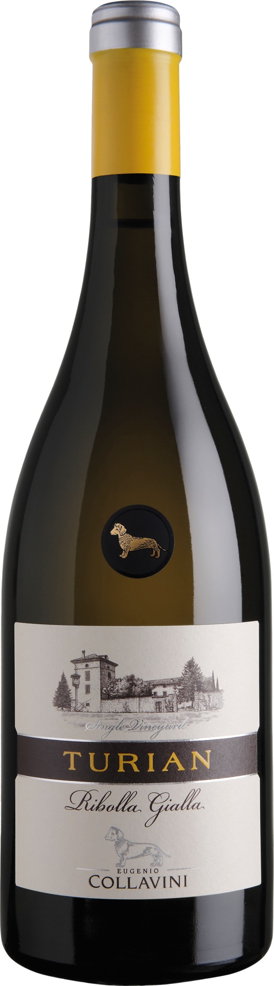 Collavini Turian Ribolla Gialla Friuli Colli Orientali DOC