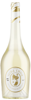 Cuvée Rolle Amphora