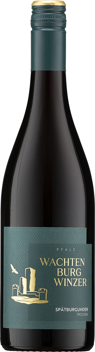 Wachtenburg Winzer Edition Selektive Lese Spätburgunder trocken, Rotwein aus der Pfalz, Flasche mit rotem Etikett