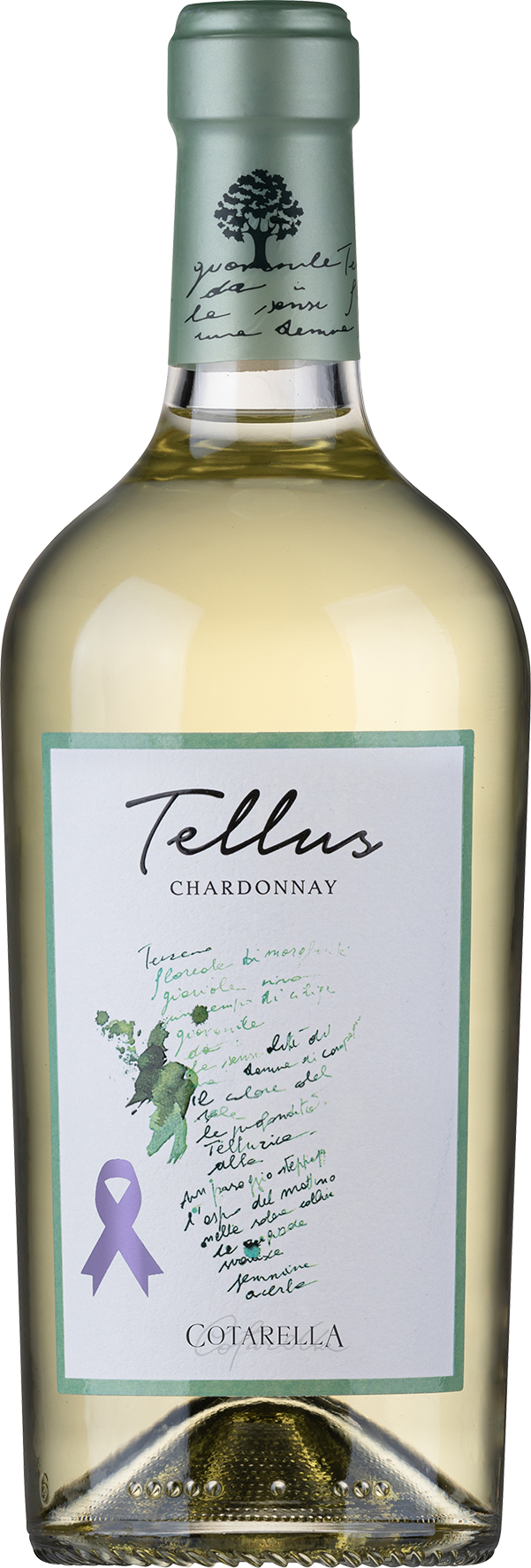 Falesco Tellus Chardonnay Bianco Lazio IGP