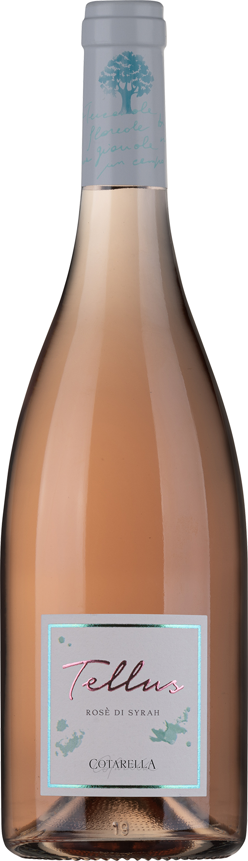 Falesco Tellus Rosé di Syrah Lazio IGP