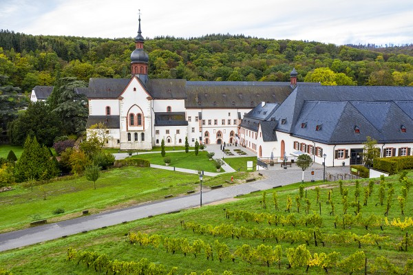 Weingut Kloster Eberbach im Rheingau, Eltville am Rhein – 247 ha Rebfläche, Riesling und Spätburgunder.