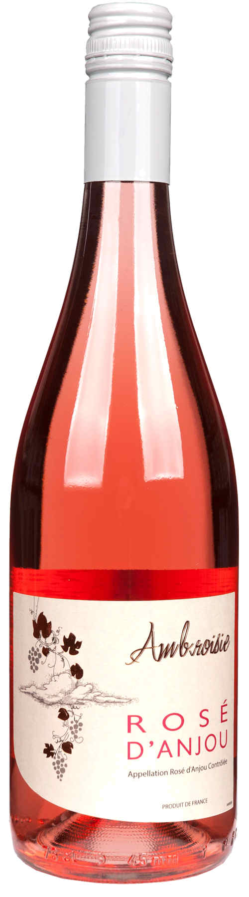 Ambroisie Rose d'Anjou