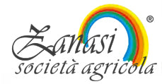 Zanasi