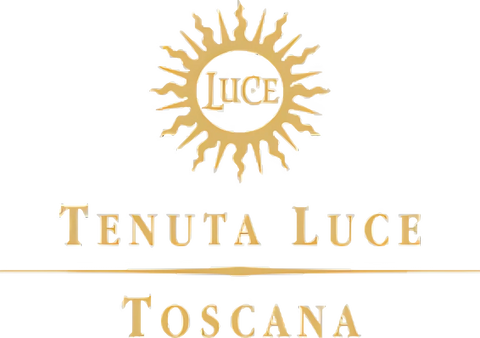 Luce della Vite