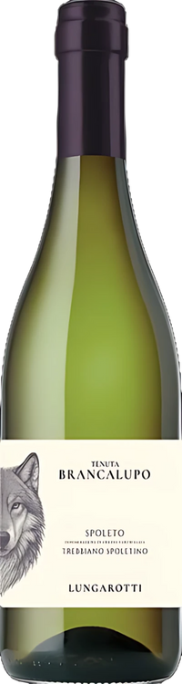 Lungarotti Spoleto Trebbiano Spoletino, white wine bottle with label