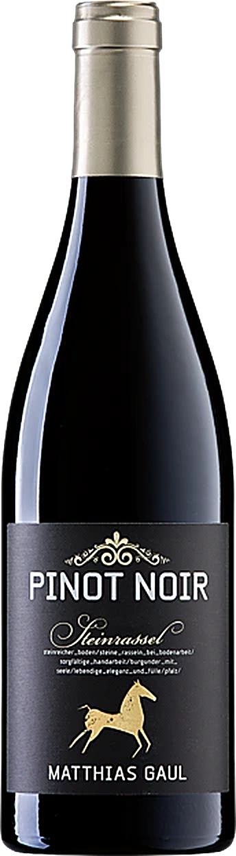 Matthias Gaul Pinot Noir Steinrassel