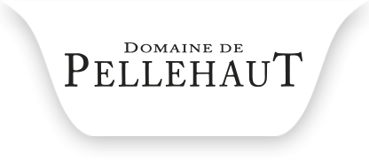 Logo von Domaine de Pellehaut, Weingut in der Gascogne, Frankreich