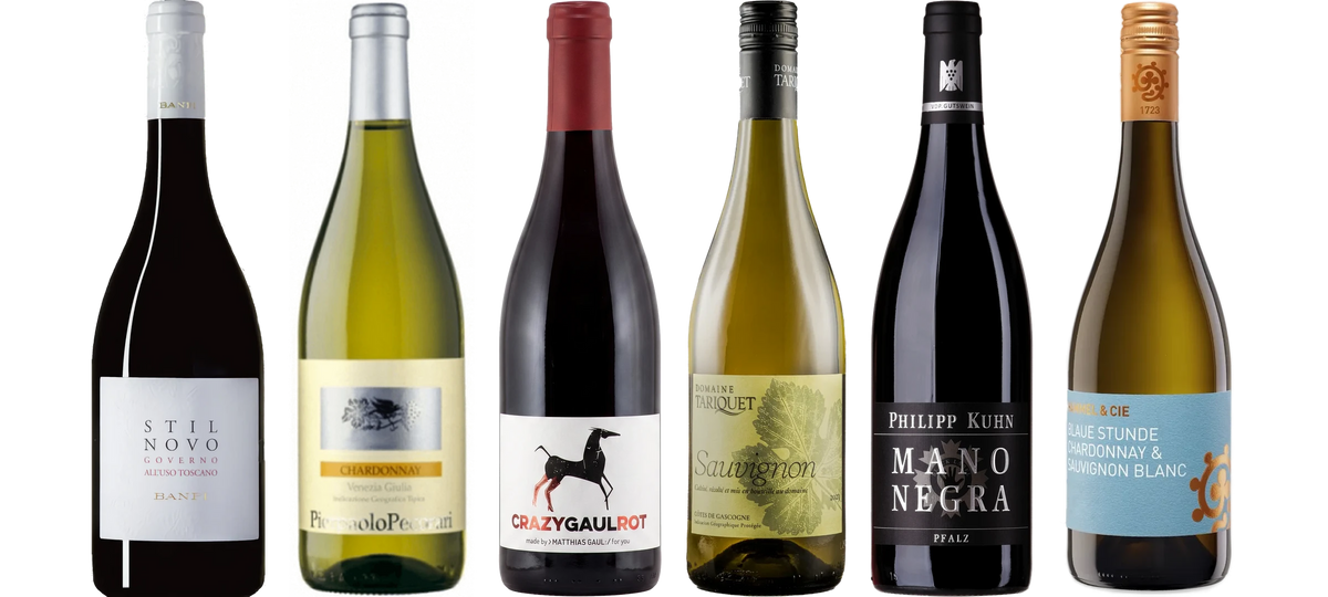 The six wines from "Sample pack Red & White wine": Banfi Stilnovo Governo all'Uso Toscano, Pierpaolo Pecorari Chardonnay Venezia Giulia IGT, Crazy Gaul Red dry, Domaine Tariquet Sauvignon Blanc, Philipp Kuhn Mano Negra Red Wine Cuvée dry, Hammel & Cie Blue Hour dry