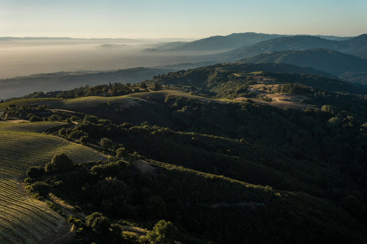 Ridge Vineyards – Titelbild, Weine aus Kalifornien, Vereinigte Staaten