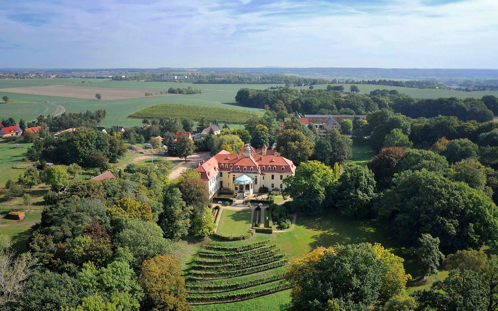 Weingut Prinz zur Lippe, ältestes Weingut Sachsens, Lagen Kloster Heilig Kreuz Meißen und Schloss Proschwitz.