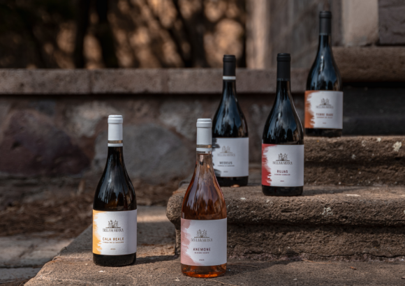 Weingut Sella & Mosca auf Sardinien, gegründet 1899, mit Weinbergen und mediterraner Landschaft