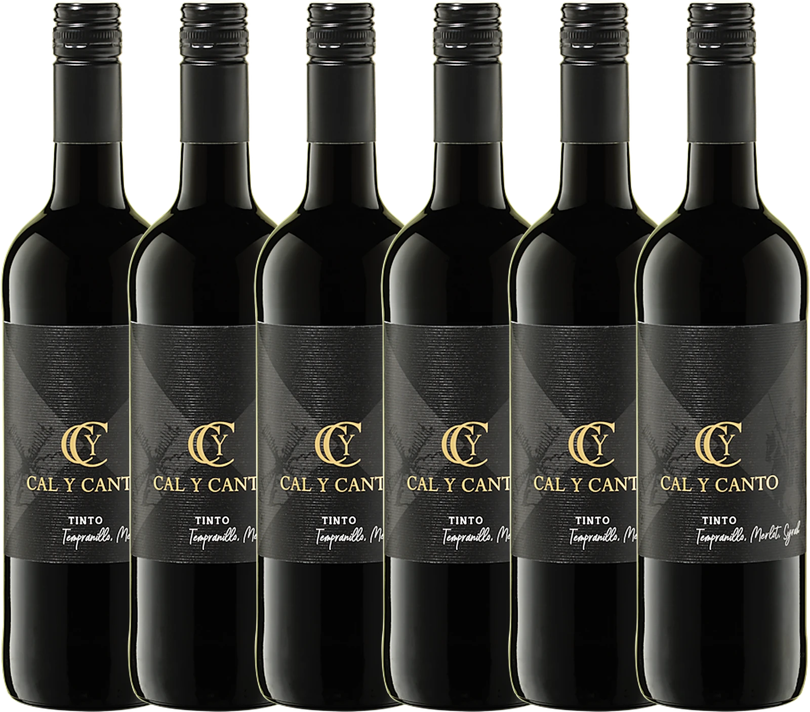Sparpaket 6× Cal Y Canto Tinto