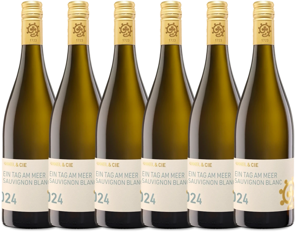 Sparpaket 6× Hammel & Cie Ein Tag am Meer Sauvignon Blanc